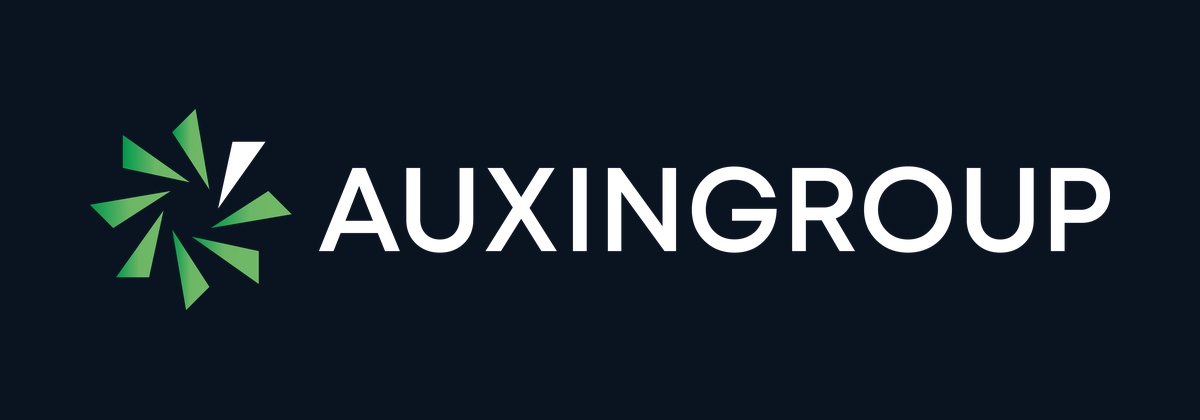 Building an investment portfolio on Auxingroup.com: multi-asset coverage, 1:20 leverage and real-time analytics