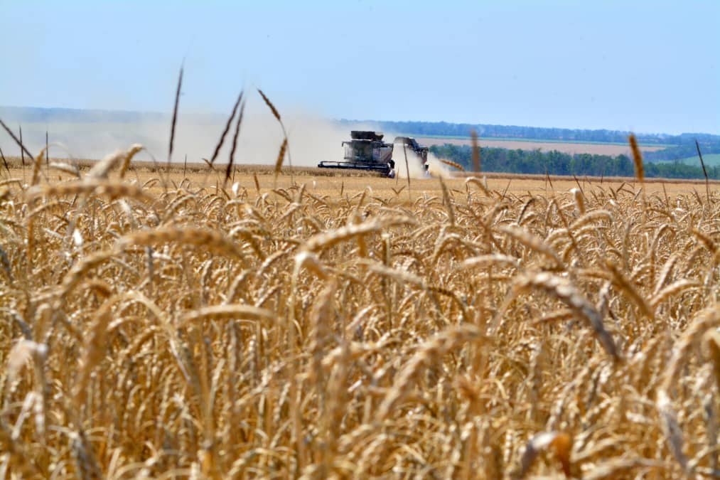 Corn and wheat prices jump to highest prices in more than three years